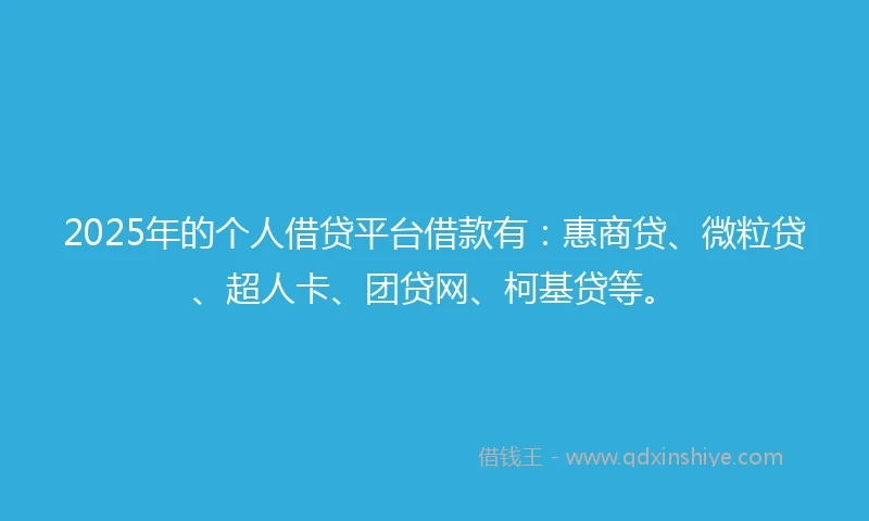 2025年的个人借贷平台借款有：惠商贷、微粒贷、超人卡、团贷网、柯基贷等。