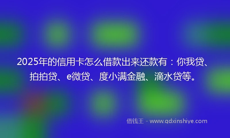 2025年的信用卡怎么借款出来还款有：你我贷、拍拍贷、e微贷、度小满金融、滴水贷等。
