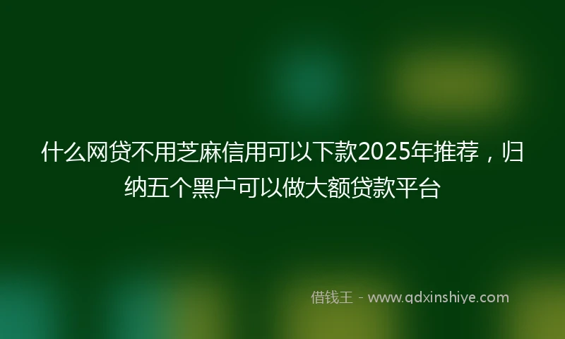 什么网贷不用芝麻信用可以下款2025年推荐，归纳五个黑户可以做大额贷款平台