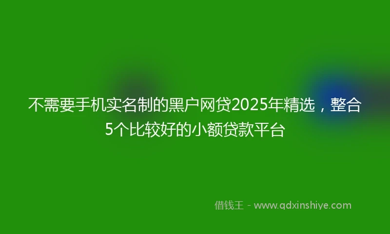 不需要手机实名制的黑户网贷2025年精选，整合5个比较好的小额贷款平台