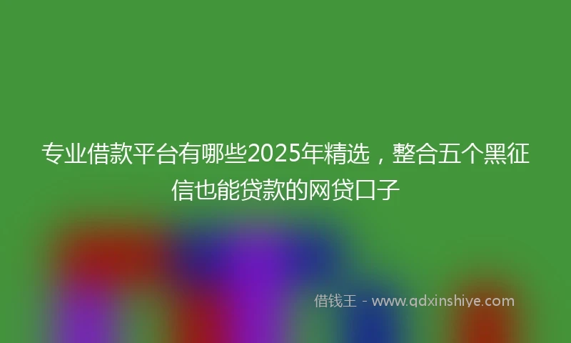 专业借款平台有哪些2025年精选，整合五个黑征信也能贷款的网贷口子