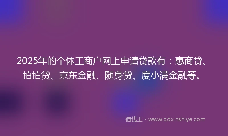 2025年的个体工商户网上申请贷款有：惠商贷、拍拍贷、京东金融、随身贷、度小满金融等。