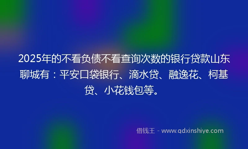 2025年的不看负债不看查询次数的银行贷款山东聊城有：平安口袋银行、滴水贷、融逸花、柯基贷、小花钱包等。