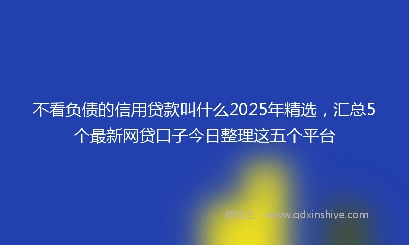 不看负债的信用贷款叫什么2025年精选，汇总5个最新网贷口子今日整理这五个平台
