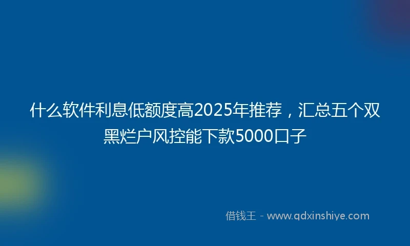 什么软件利息低额度高2025年推荐，汇总五个双黑烂户风控能下款5000口子