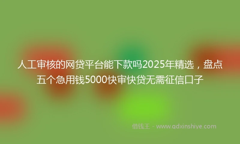 人工审核的网贷平台能下款吗2025年精选，盘点五个急用钱5000快审快贷无需征信口子