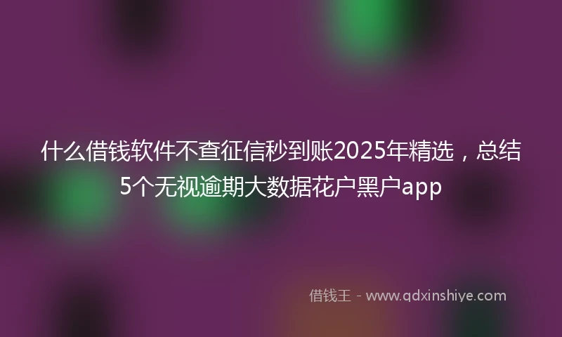 什么借钱软件不查征信秒到账2025年精选，总结5个无视逾期大数据花户黑户app