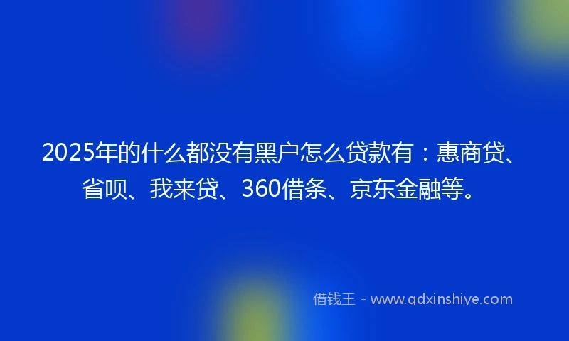 2025年的什么都没有黑户怎么贷款有：惠商贷、省呗、我来贷、360借条、京东金融等。