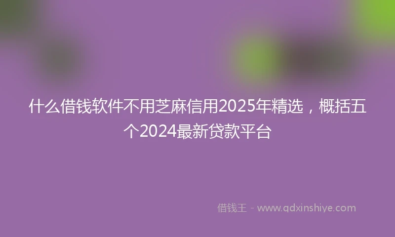什么借钱软件不用芝麻信用2025年精选，概括五个2024最新贷款平台