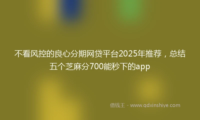 不看风控的良心分期网贷平台2025年推荐，总结五个芝麻分700能秒下的app