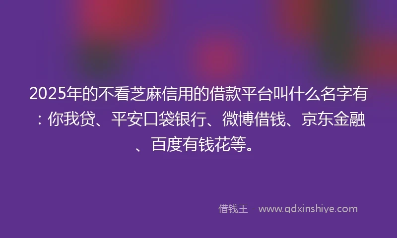 2025年的不看芝麻信用的借款平台叫什么名字有：你我贷、平安口袋银行、微博借钱、京东金融、百度有钱花等。