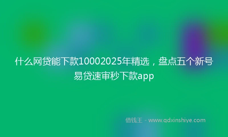 什么网贷能下款10002025年精选，盘点五个新号易贷速审秒下款app