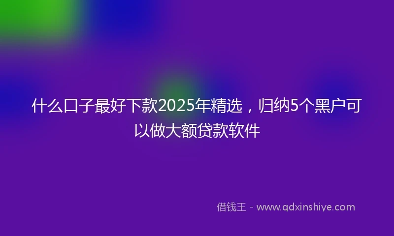 什么口子最好下款2025年精选，归纳5个黑户可以做大额贷款软件