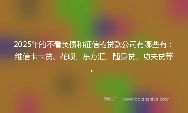 2025年的不看负债和征信的贷款公司有哪些有：维信卡卡贷、花呗、东方汇、随身贷、功夫贷等。