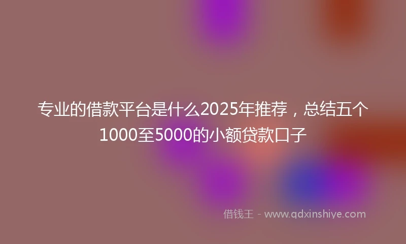专业的借款平台是什么2025年推荐，总结五个1000至5000的小额贷款口子