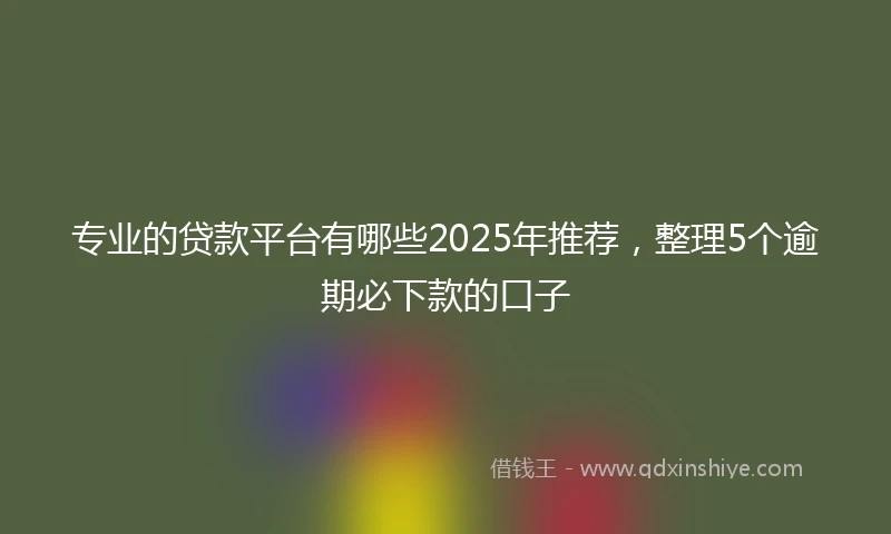 专业的贷款平台有哪些2025年推荐，整理5个逾期必下款的口子