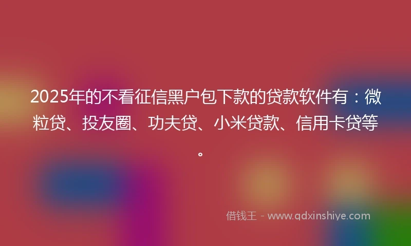 2025年的不看征信黑户包下款的贷款软件有：微粒贷、投友圈、功夫贷、小米贷款、信用卡贷等。