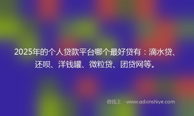 2025年的个人贷款平台哪个最好贷有：滴水贷、还呗、洋钱罐、微粒贷、团贷网等。