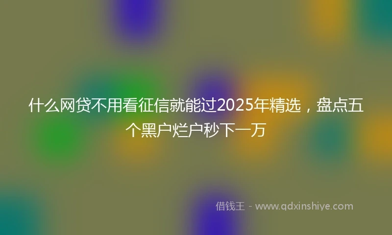 什么网贷不用看征信就能过2025年精选，盘点五个黑户烂户秒下一万