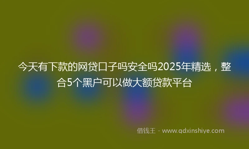 今天有下款的网贷口子吗安全吗2025年精选，整合5个黑户可以做大额贷款平台