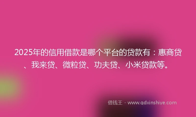 2025年的信用借款是哪个平台的贷款有：惠商贷、我来贷、微粒贷、功夫贷、小米贷款等。