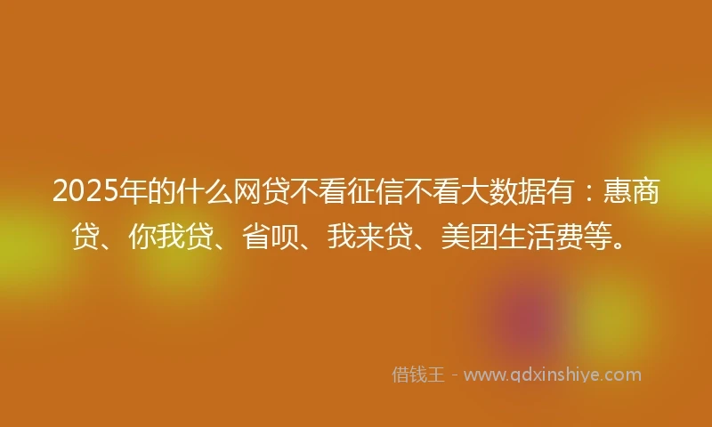 2025年的什么网贷不看征信不看大数据有：惠商贷、你我贷、省呗、我来贷、美团生活费等。