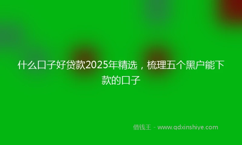 什么口子好贷款2025年精选，梳理五个黑户能下款的口子