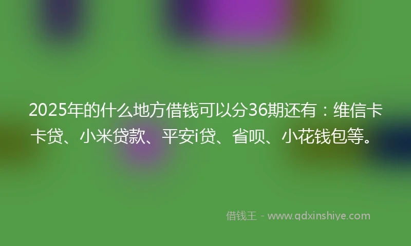 2025年的什么地方借钱可以分36期还有：维信卡卡贷、小米贷款、平安i贷、省呗、小花钱包等。
