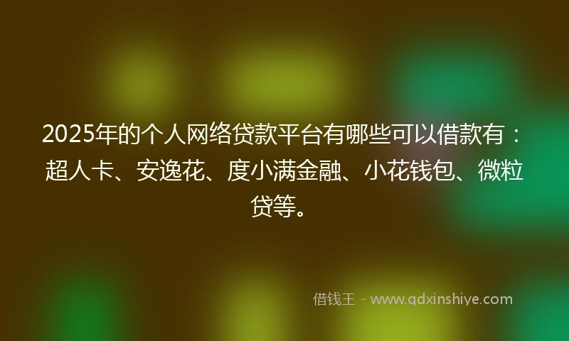 2025年的个人网络贷款平台有哪些可以借款有：超人卡、安逸花、度小满金融、小花钱包、微粒贷等。
