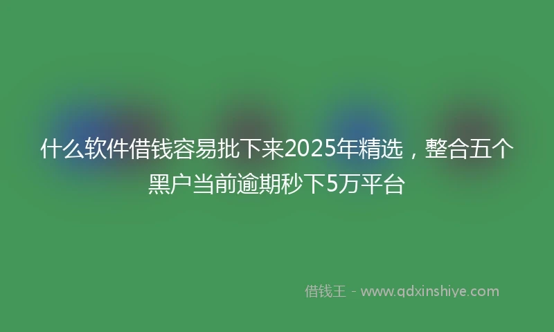 什么软件借钱容易批下来2025年精选，整合五个黑户当前逾期秒下5万平台