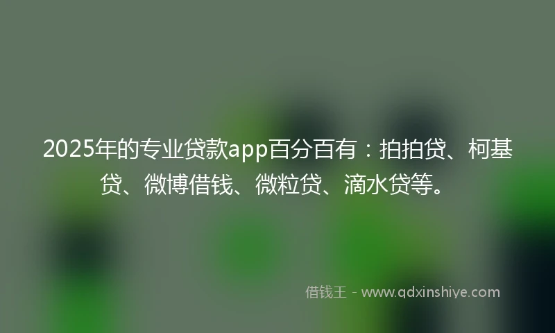 2025年的专业贷款app百分百有：拍拍贷、柯基贷、微博借钱、微粒贷、滴水贷等。