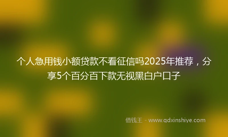 个人急用钱小额贷款不看征信吗2025年推荐，分享5个百分百下款无视黑白户口子