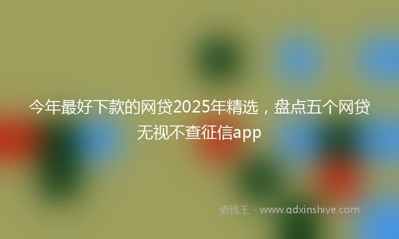 今年最好下款的网贷2025年精选，盘点五个网贷无视不查征信app