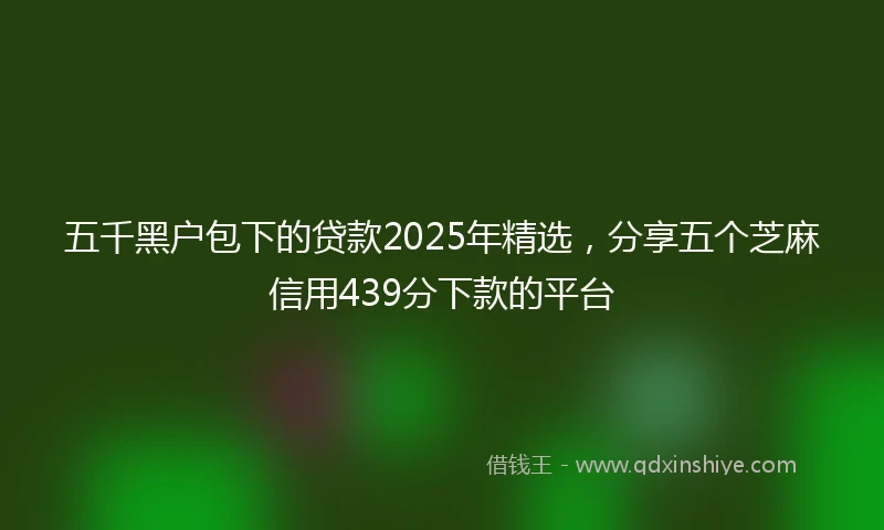 五千黑户包下的贷款2025年精选，分享五个芝麻信用439分下款的平台
