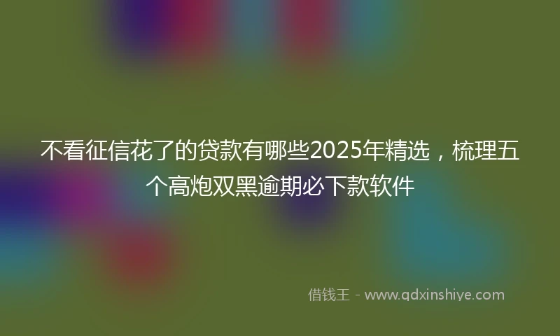 不看征信花了的贷款有哪些2025年精选，梳理五个高炮双黑逾期必下款软件
