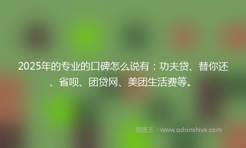 2025年的专业的口碑怎么说有：功夫贷、替你还、省呗、团贷网、美团生活费等。