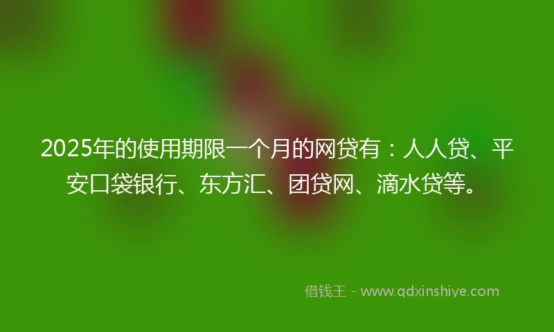 2025年的使用期限一个月的网贷有：人人贷、平安口袋银行、东方汇、团贷网、滴水贷等。