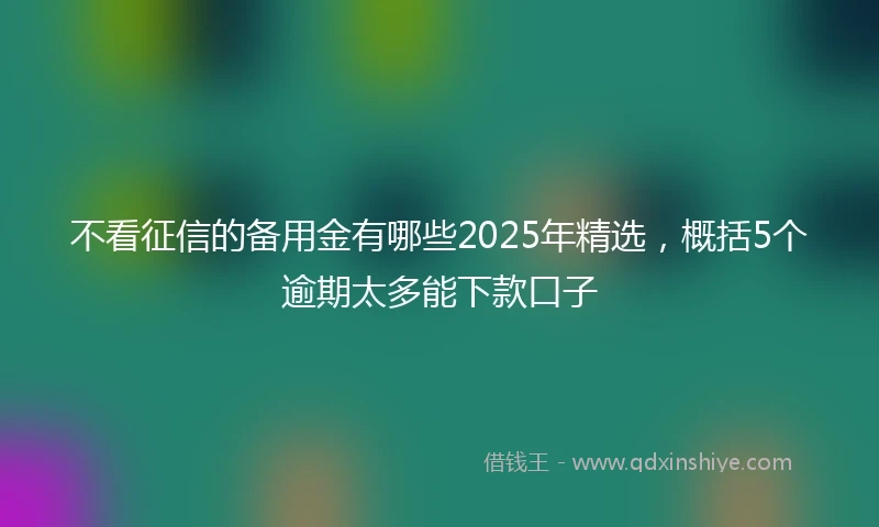 不看征信的备用金有哪些2025年精选，概括5个逾期太多能下款口子