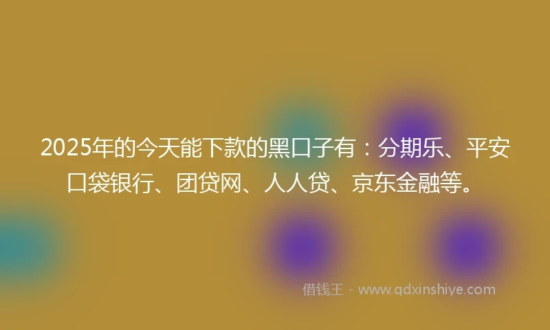 2025年的今天能下款的黑口子有：分期乐、平安口袋银行、团贷网、人人贷、京东金融等。