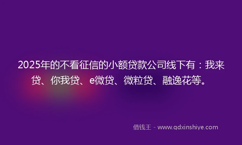 2025年的不看征信的小额贷款公司线下有：我来贷、你我贷、e微贷、微粒贷、融逸花等。