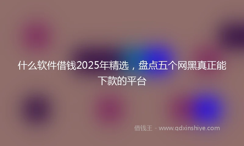 什么软件借钱2025年精选，盘点五个网黑真正能下款的平台