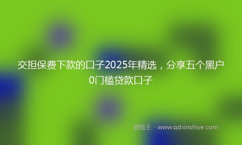 交担保费下款的口子2025年精选，分享五个黑户0门槛贷款口子