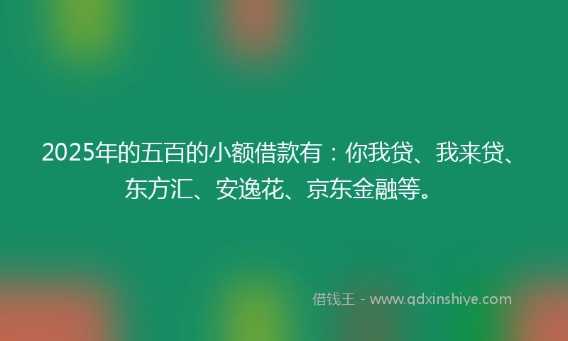 2025年的五百的小额借款有：你我贷、我来贷、东方汇、安逸花、京东金融等。