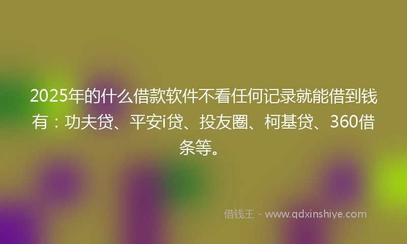 2025年的什么借款软件不看任何记录就能借到钱有：功夫贷、平安i贷、投友圈、柯基贷、360借条等。