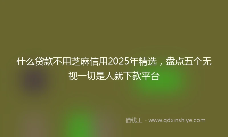 什么贷款不用芝麻信用2025年精选，盘点五个无视一切是人就下款平台