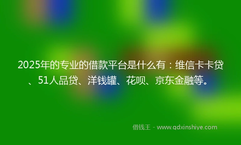 2025年的专业的借款平台是什么有：维信卡卡贷、51人品贷、洋钱罐、花呗、京东金融等。