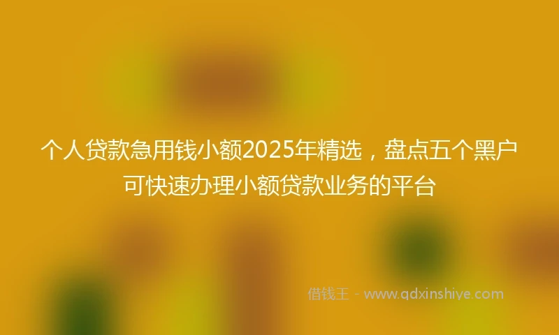 个人贷款急用钱小额2025年精选，盘点五个黑户可快速办理小额贷款业务的平台