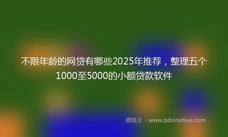 不限年龄的网贷有哪些2025年推荐，整理五个1000至5000的小额贷款软件