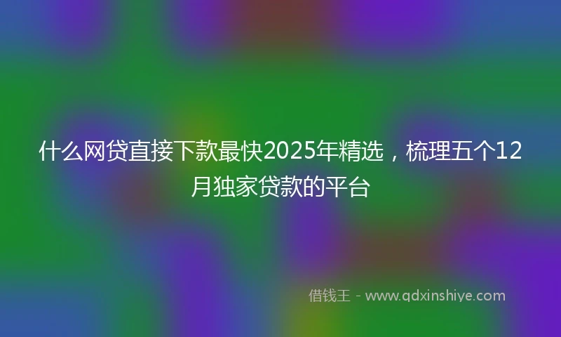 什么网贷直接下款最快2025年精选，梳理五个12月独家贷款的平台