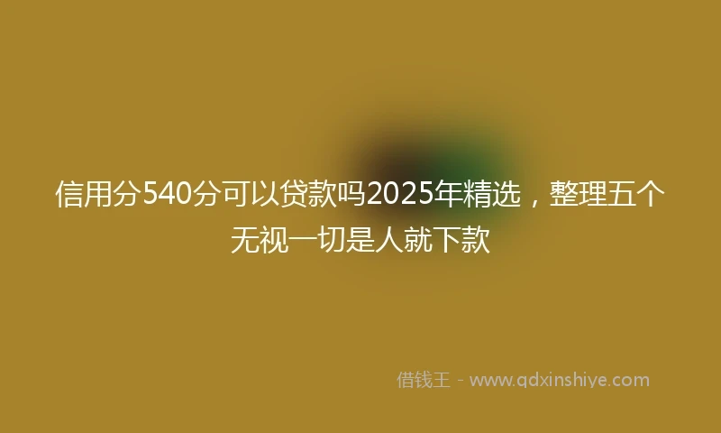 信用分540分可以贷款吗2025年精选，整理五个无视一切是人就下款
